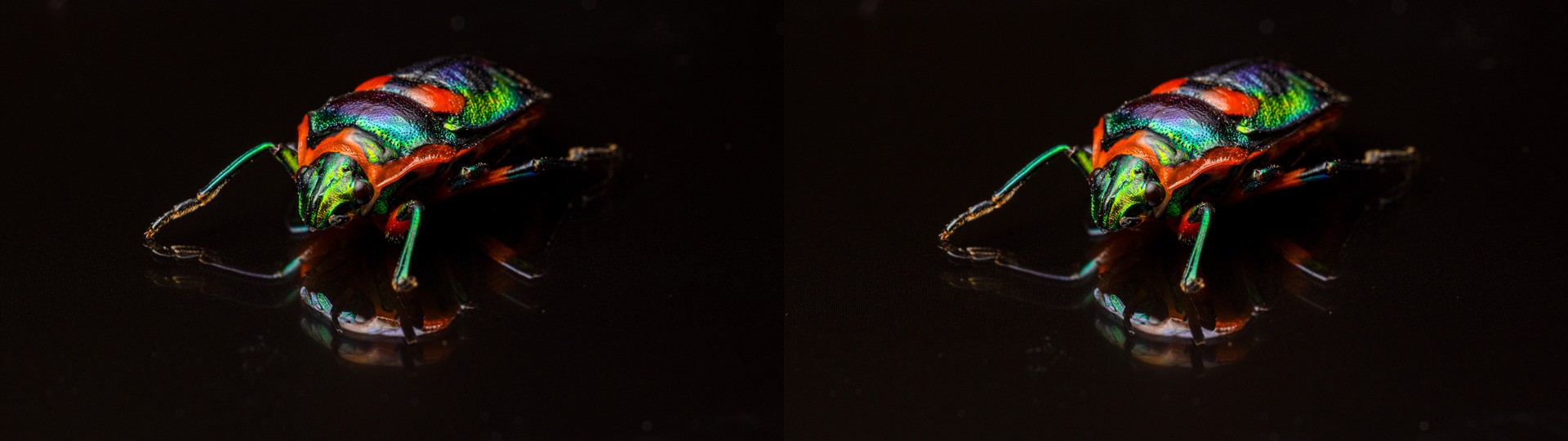Jewel Without a Crown